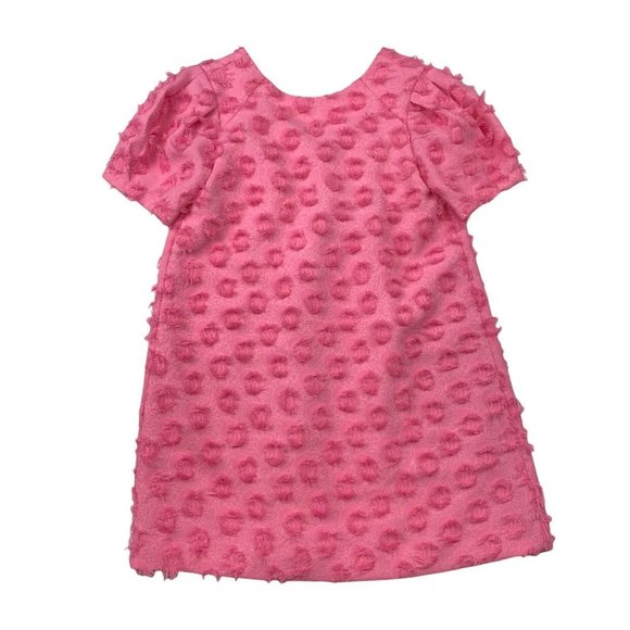 Zara Other - Zara Pink Dress